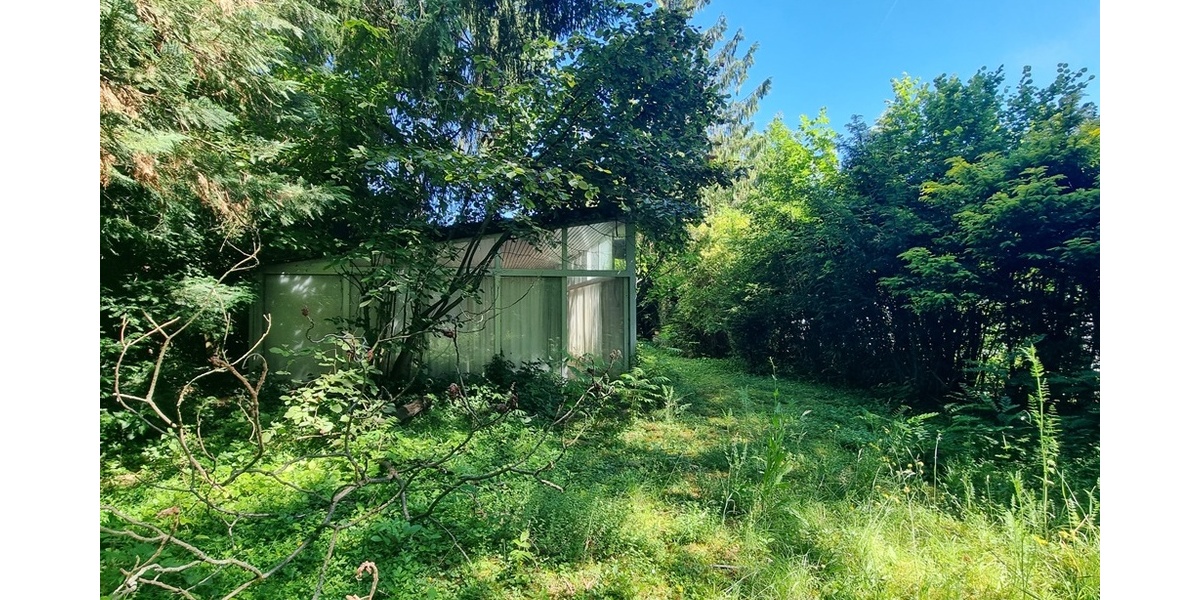 Garten I