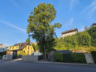 VIELSEITIGER RAUM FÜR LEBEN UND ARBEIT IN TOP-LAGE - Grundstück Steinheim an der Murr | Angebot:26918174